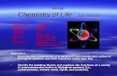 Chemistry of life  powerpoint