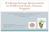Wolftrap Creek Restoration in Vienna’s Wildwood Park, October 2013