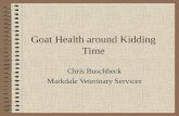 Goat Health Around Kidding Time