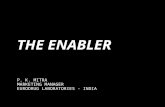 The enabler 2.11. 10