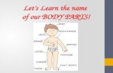 Body parts (Vocabulary Introduction) Lesson 1
