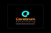Cerebrum Advertising profile