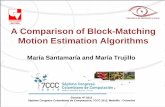 A Comparison of Block-Matching Motion Estimation Algorithms