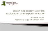 Welsh Repository Network: Exploration and experimentation
