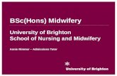 Midwifery open day presentation  June 2013
