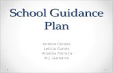 Guidence and counselling plan final 1