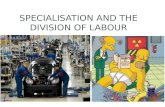Revision specialisation and the division of labour