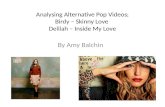 Analysing alternative pop videos