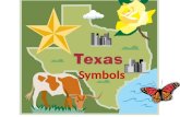 Texas symbols 1