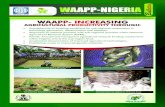 WAAPP-Nigeria April 2013 Edition Bulletin