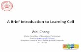 Introduction to learning cell