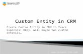 Create Custom Entity in CRM to Track Expenses! Okay, well maybe two custom entities…