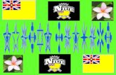 Niue Culture