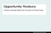 Opportunity Roxbury: A Look at the Future