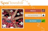 Spanovator company profile june 2011