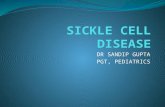 Sickle cell disease sandip