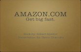 Amazon.com   get big fast