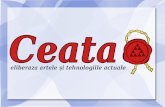 "Ceata Free Technologies and Free Art in Romania" by Tiberiu Turbureanu @ eLiberatica 2009