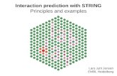 Interaction prediction with STRING - Principles and examples