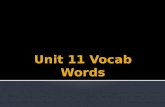 11&12 unit 11 vocab words