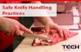 Safe Knife Handling Practices