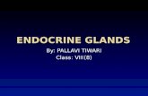 Endocrine glands and systems.