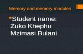 Memory and memory modules by zuko khephu