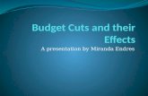 Budget Cuts And Their Effects