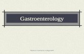 02 gastroenterology