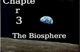 Biology - Chp 3 - The Biosphere - PowerPoint