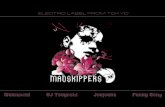 Madskippers Artists Info 2007