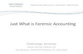 Just What is Forensic Accounting? - Sharon Hamrick & Pam Mantone