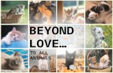 Beyond love...to all animals