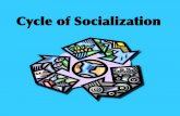 Cycle of Socialization