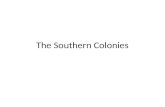 The southern colonies