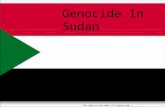 Genocide In Sudan