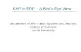 SAP in ERP – A Bird's Eye View