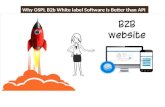 OSPL Mobile recharge API vs White label solution: Which is better for Making b2b Recharge Website
