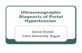Ultrasonographic Diagnosis of Portal Hypertension