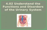Functions and Disorders of Urinary System