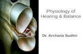 56514243 physiology-of-hearing-balance