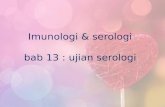 Imunologi & serologi  ujian serologi