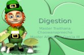 Digestion presentation