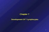 Immunology Chapter 7