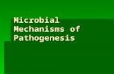 Mechanism Of Pathogenecity