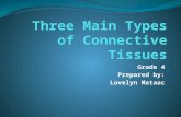 Three main types of connective tissues