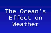 Ocean module report