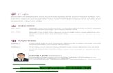 Vishvas resume template-4