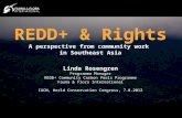 REDD+ and Rights