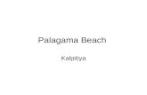 Palagama Beach, Kalpitiya - Sri Lanka